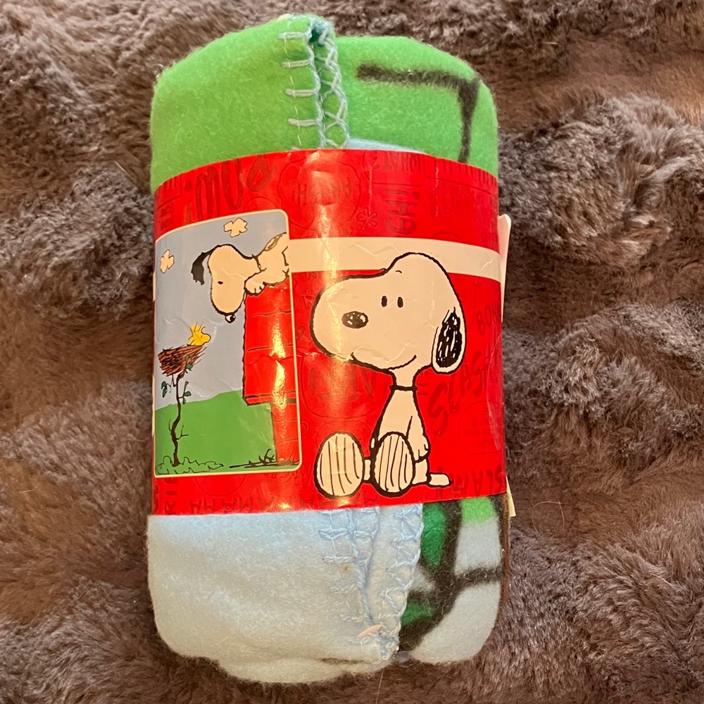 Peanuts Snoopy and Woodstock Light Blue Fleece Blanket